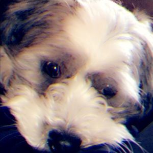 Meet your Posher, Angela